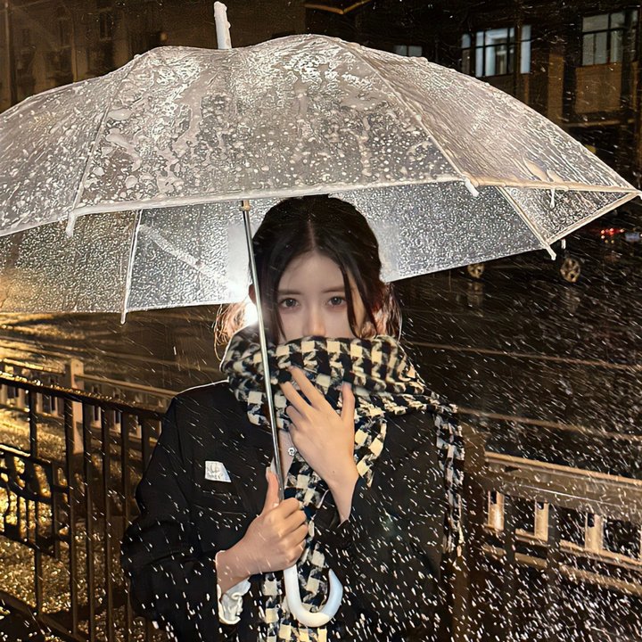圣城的女儿